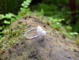 Katia Kolinger Jewelry – Prsten - mušle z Dominical, Kostarika / The Ring- a shell from Dominical, Costa Rica – 8