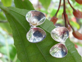 Náušnice mušle s perlou z Manuel Antonio, Kostarika / The shell earrings with pearl from Manuel Antonio, Costa Rica