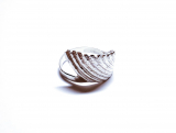 Prsten - mušle z Uvita, Kostarika / The Ring - a shell from Uvita, Costa Rica