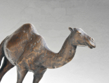 Barbora Fausová – Velbloud - bronzová socha - limitovaná edice, originál, umění, zvíře, dekorace, socha kov, socha zvířete – 3