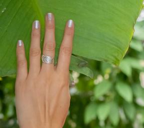 Prsten - mušle z Uvita, Kostarika / The Ring - a shell from Uvita, Costa Rica