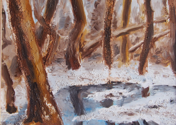 Jan Mašín – Les v zimě