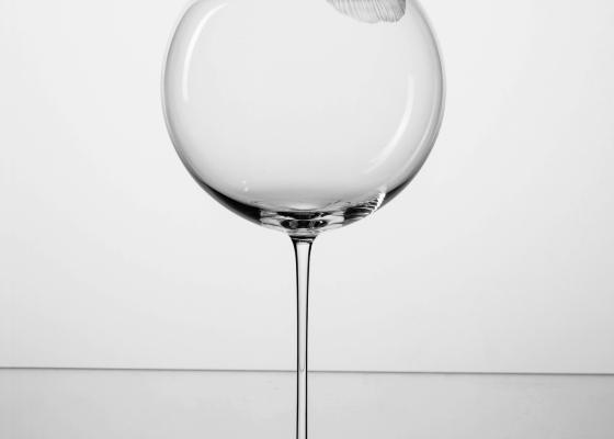 Lukáš Houdek – BUBBLES sklenice na víno - rytá s 1 pusou