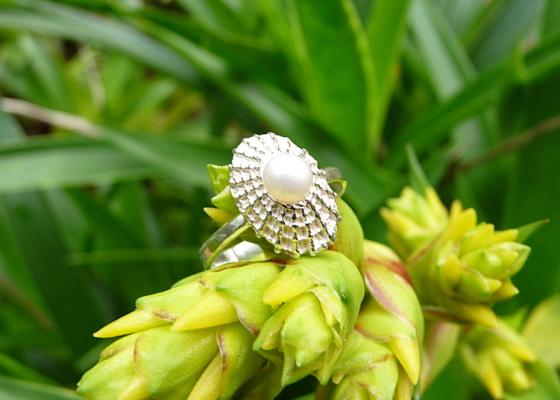 Katia Kolinger Jewelry – Prsten - mušle z Dominical, Kostarika / The Ring- a shell from Dominical, Costa Rica